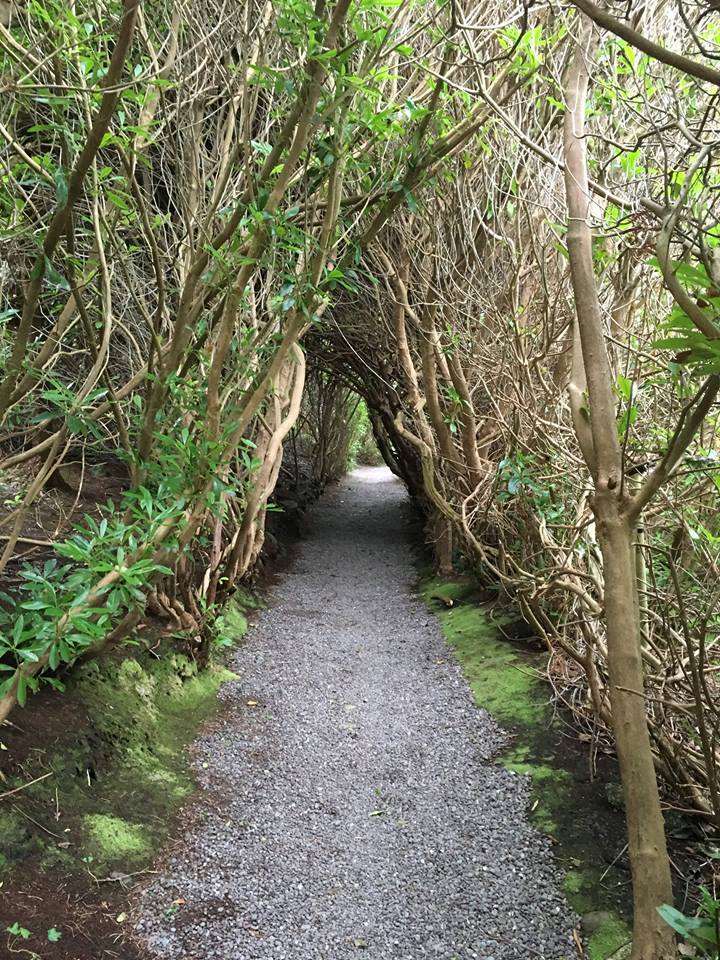 Carrig Country House & Restaurant Killorglin Amenidades foto